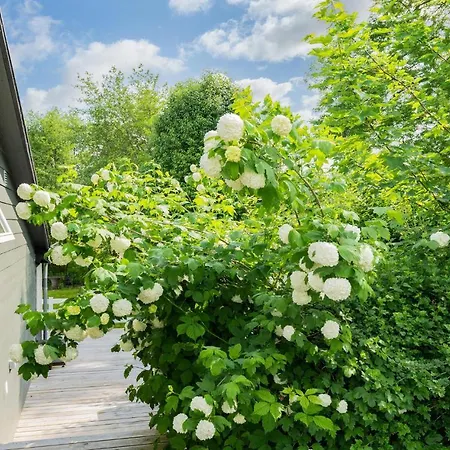 Feriehus Beautiful In Bjert With 2 Bedrooms And Wifi *